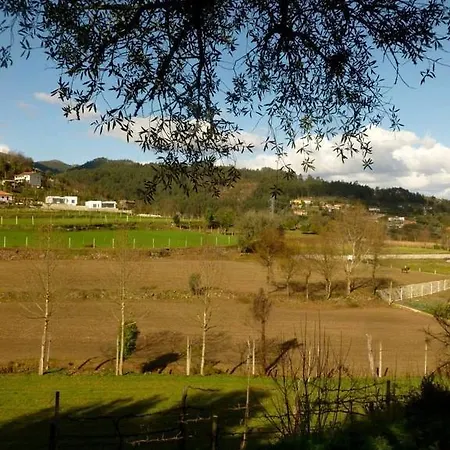 Casa Dos Carvalhais * 칼데라스